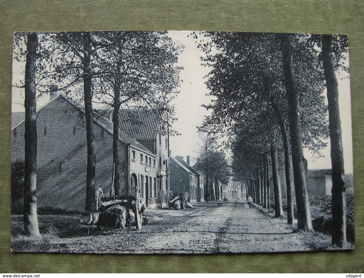 PUURS - STEENWEG NAAR WILLEBROECK 1909 ( Ed. SBP ) - Puurs