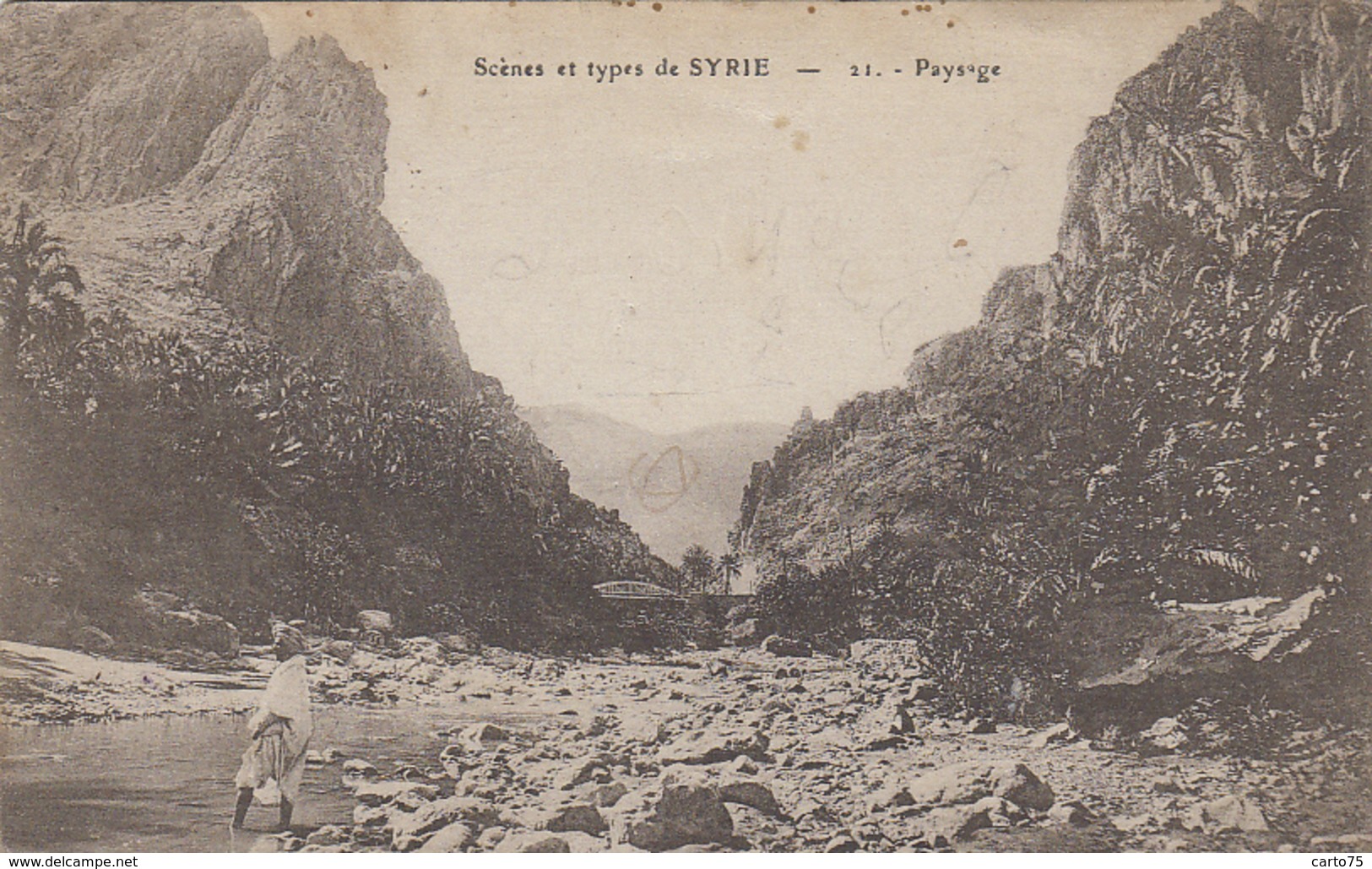 Syrie - Paysage Et Types De Syrie - Syrie