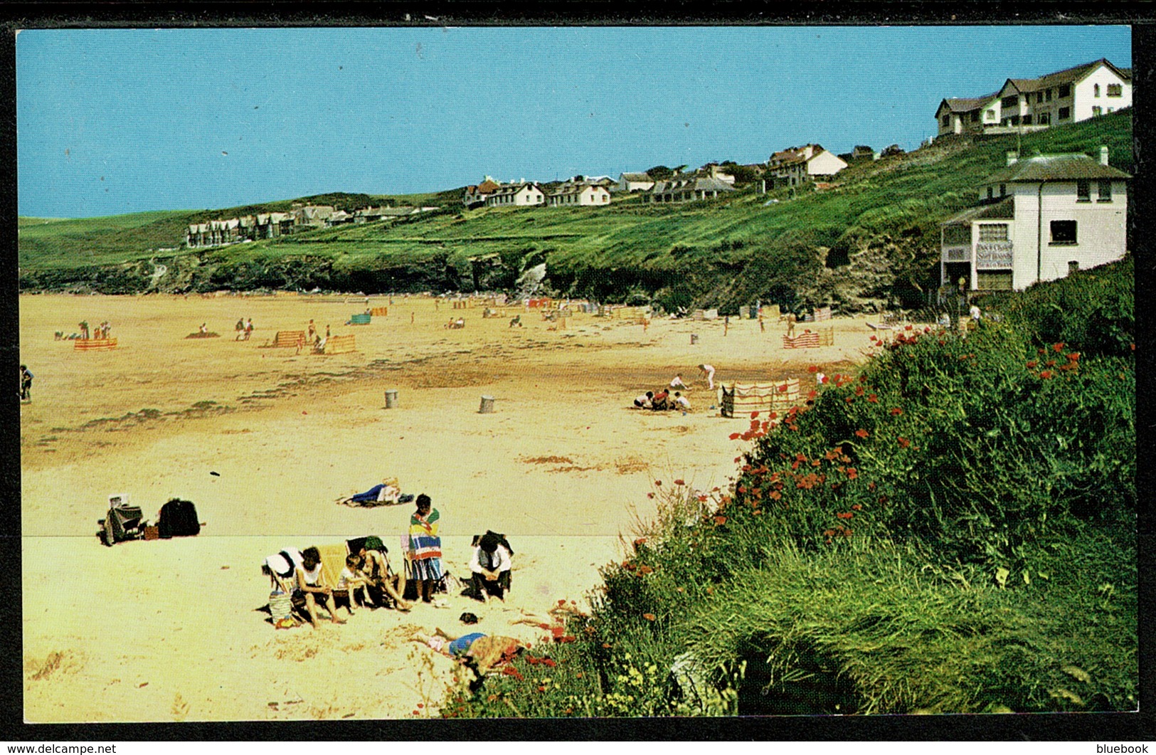 Ref 1317 - Postcard - Houses - New Polzeath & The Sands - Cornwall - Other & Unclassified