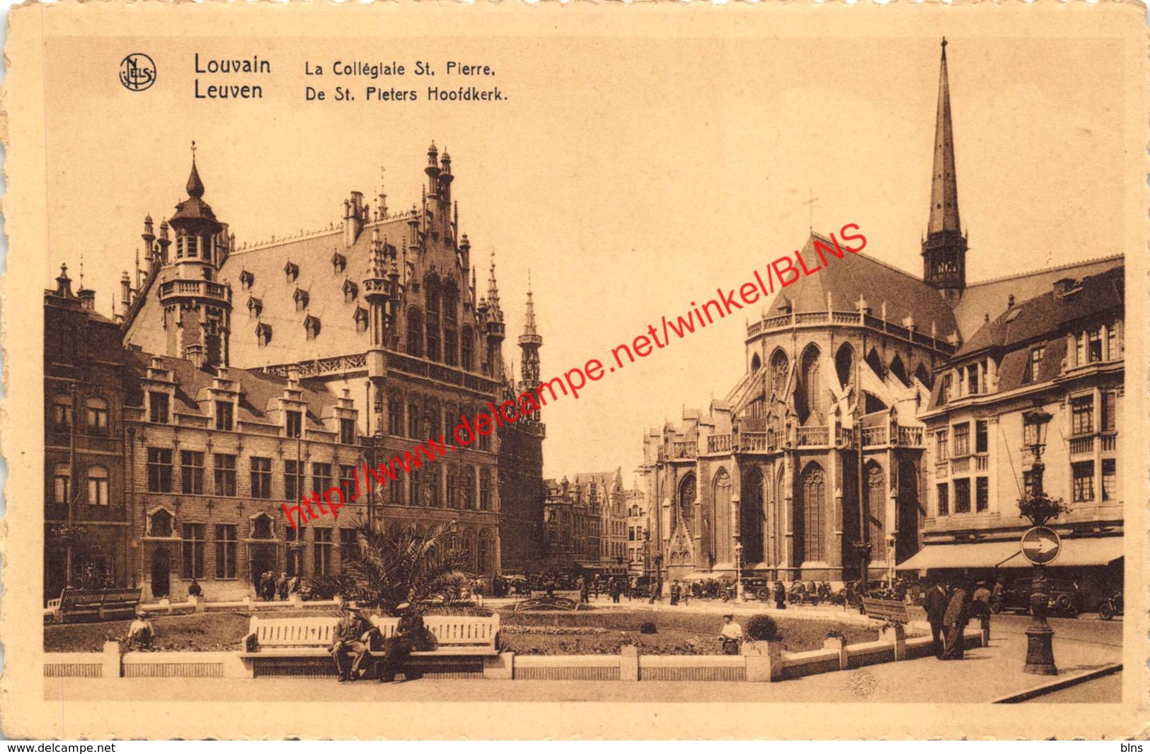 De St Pieters Hoofdkerk - La Collégiale St. Pierre - Leuven - Leuven