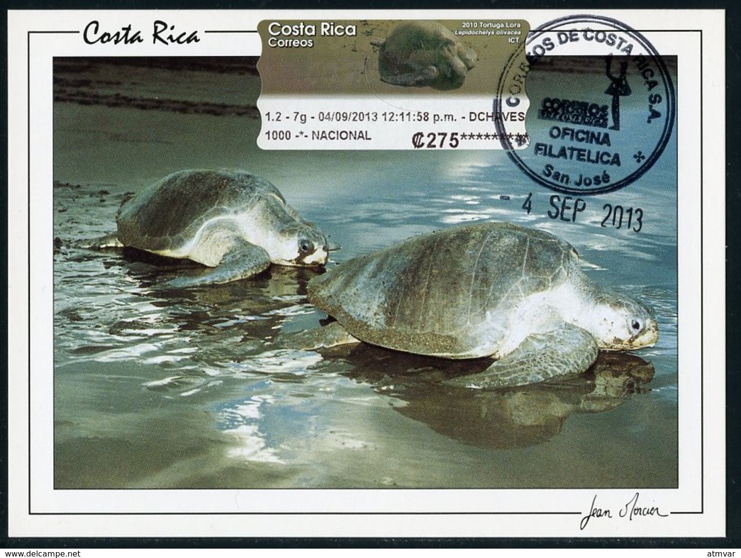 COSTA RICA - Carte Maximum Card - ATM - Tortuga Lora / Lora Turtle (Lepidochelys Olivacea) - Costa Rica