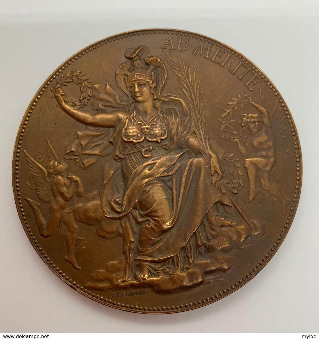 Medaille Bronze. J.C. Chaplain. Hommage Des électriciens à Zenobe Gramme 27 Mars 1898. 68 Mm - Professionnels / De Société