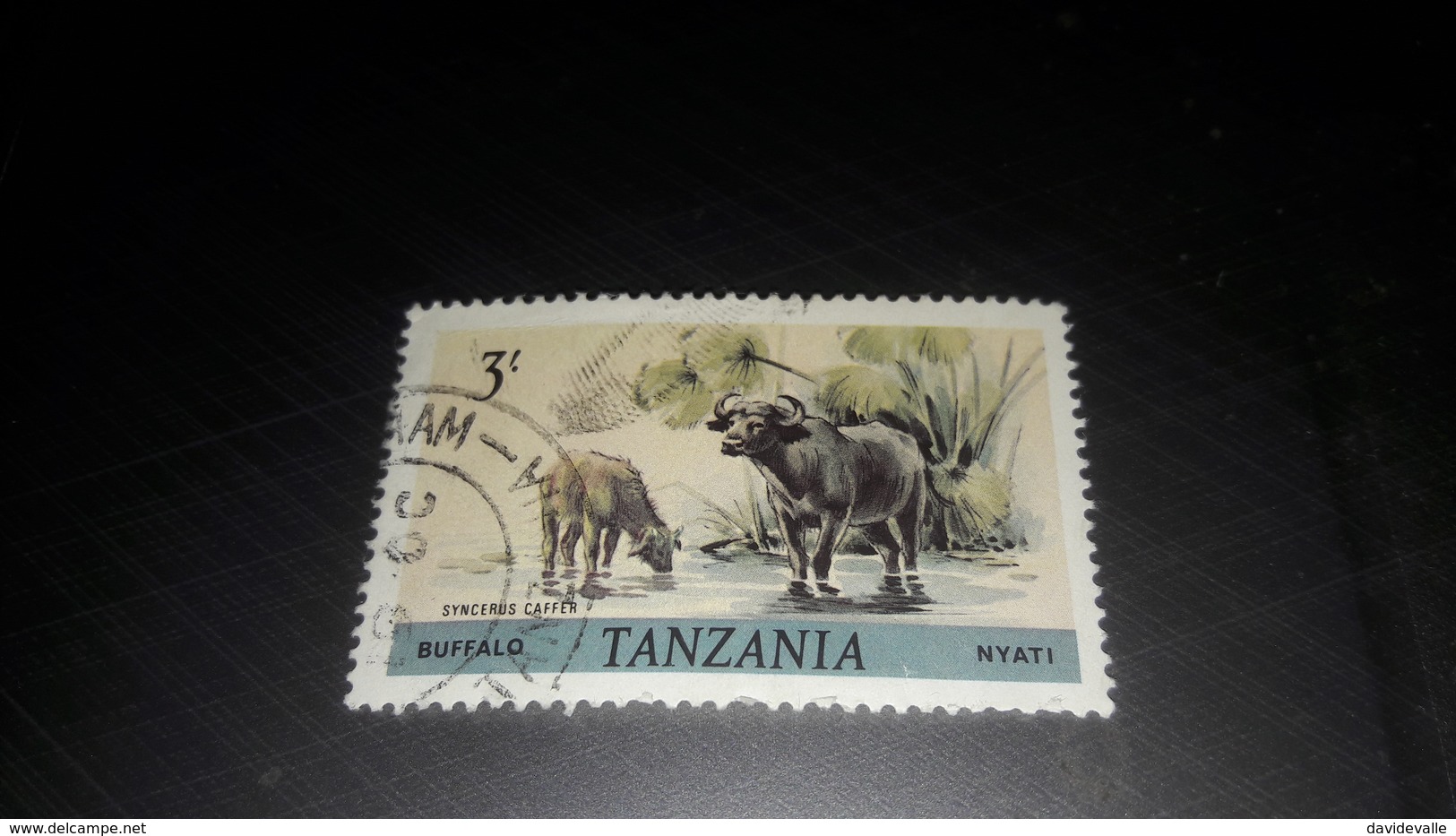 Tanzania 1980 Animali  Syncerus Caffer - Tanzania (1964-...)