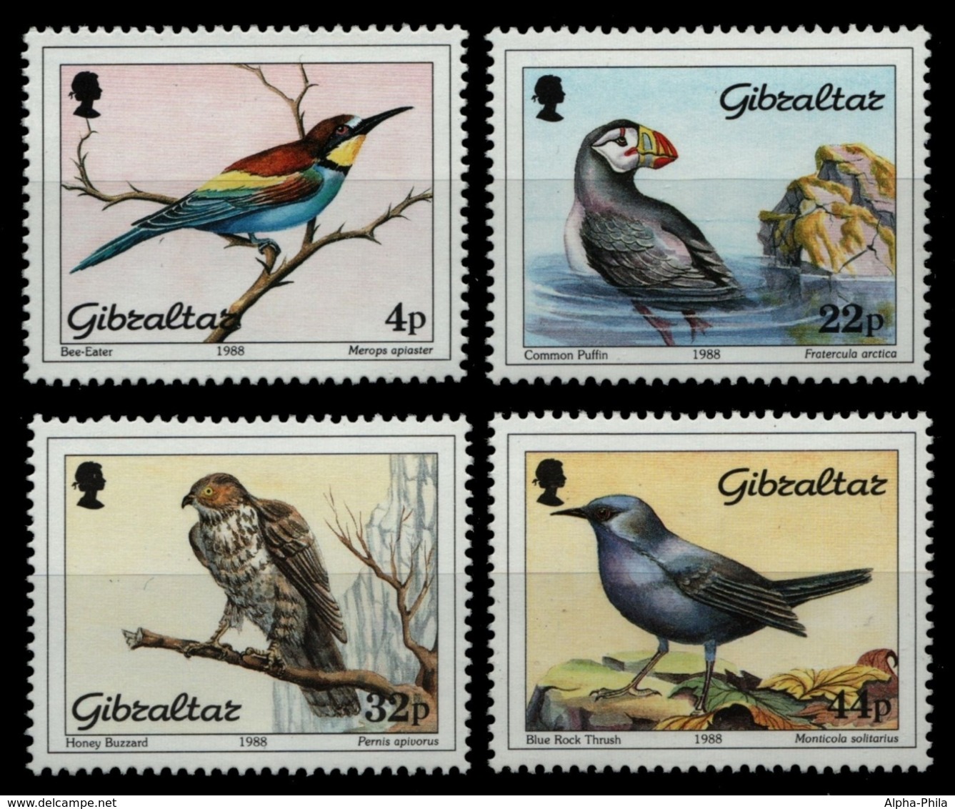 Gibraltar 1988 - Mi-Nr. 552-555 ** - MNH - Vögel / Birds - Gibraltar