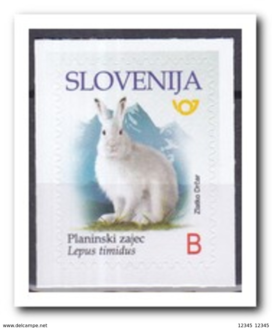 Slovenië 2018, Postfris MNH, Rabbit - Slovenië