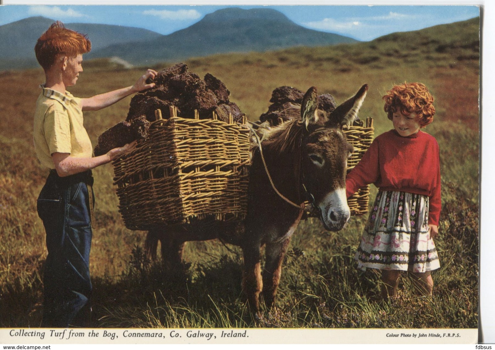 1975 Galway - Collecting Turf From The Bog  Connemara - Co - Children With Donkey  Ezel - John Hinde - Galway