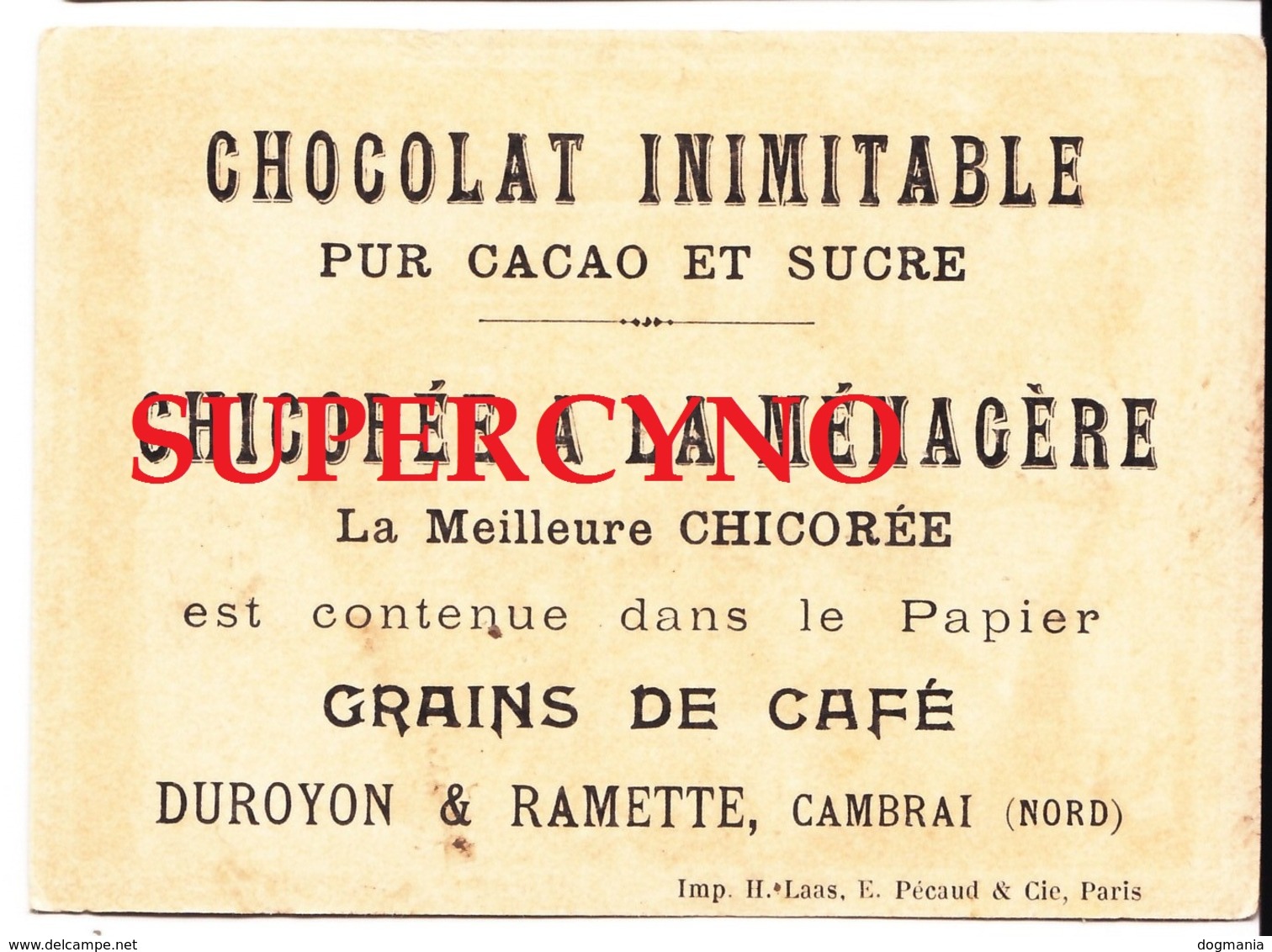 IMAGE CHICOREE A LA MENAGERE  LES METIERS DE PARIS LA MARCHANDE DE QUATRE SAISONS FORMAT 8/11 - Autres & Non Classés