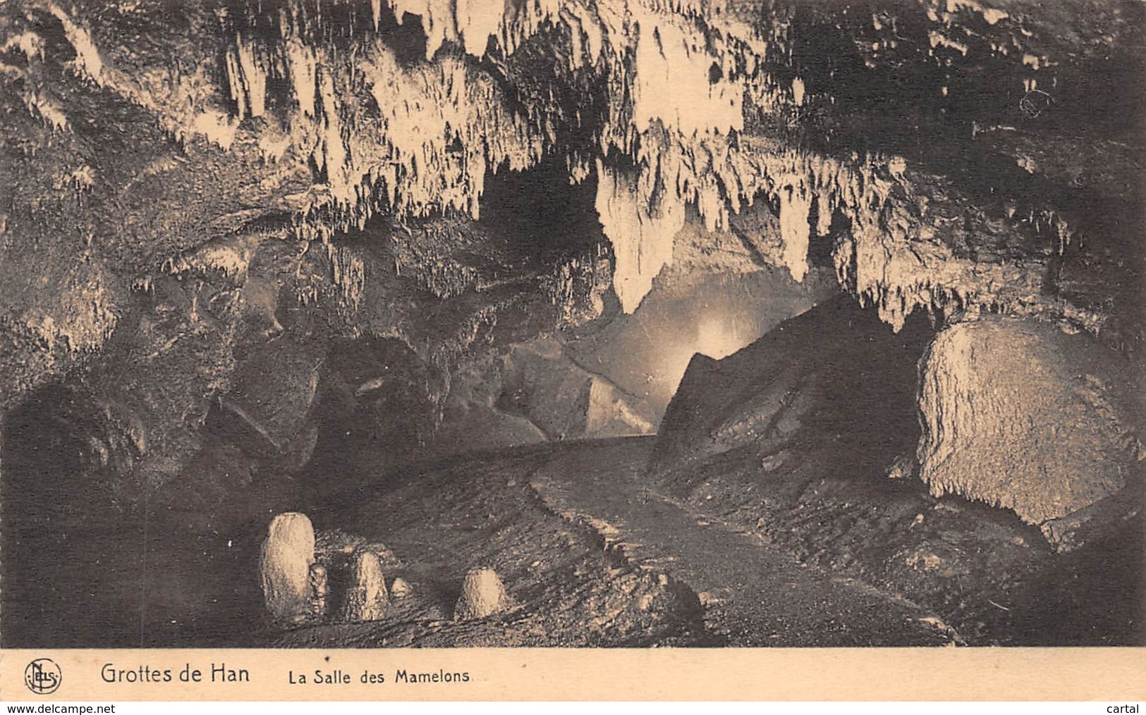 Grottes De Han - La Salle Des Mamelons - Rochefort