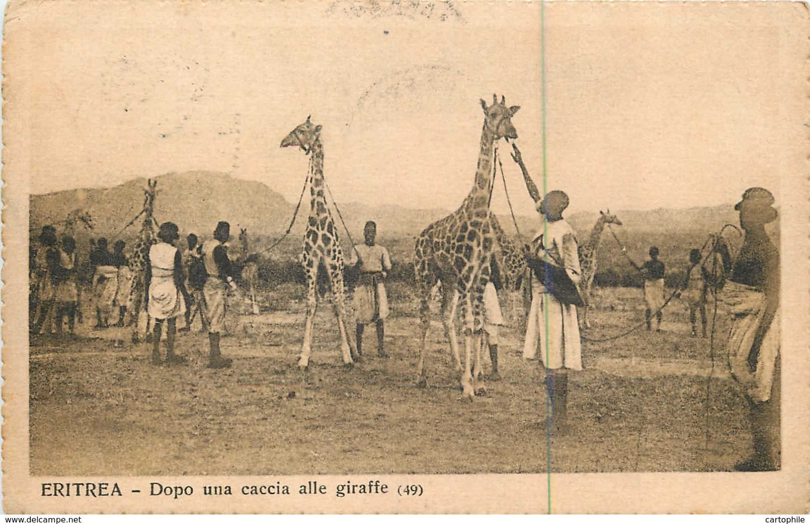 Afrique - ERYTHREE - ERITREA - Dopo Una Caccia Alle Giraffe 1924 - See Stamps - Eritrea