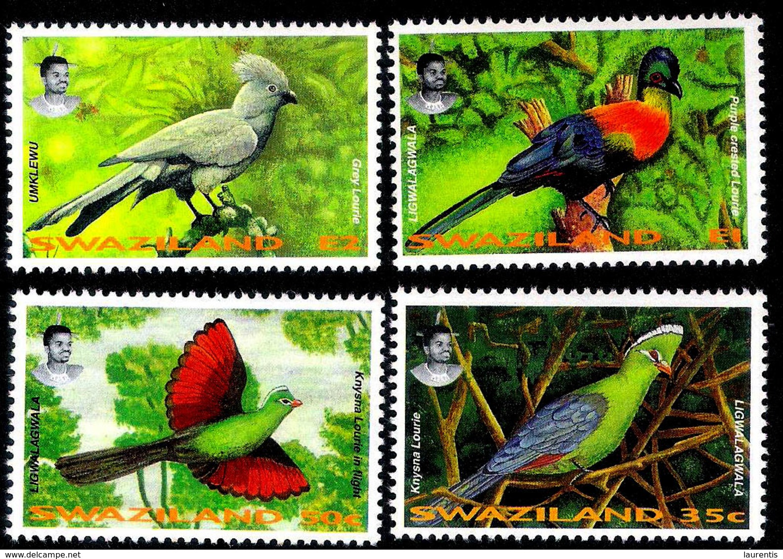 7660  Birds - Oiseaux - Swaziland Yv 646-49 - MNH - 1,75 - Other & Unclassified