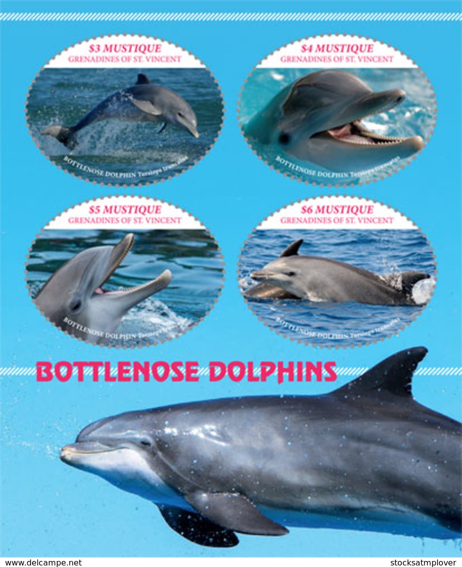 Mustique  Grenadines Of St.Vincent   2019  Fauna  Bottlenose Dolphin   I201901 - St.Vincent & Grenadines