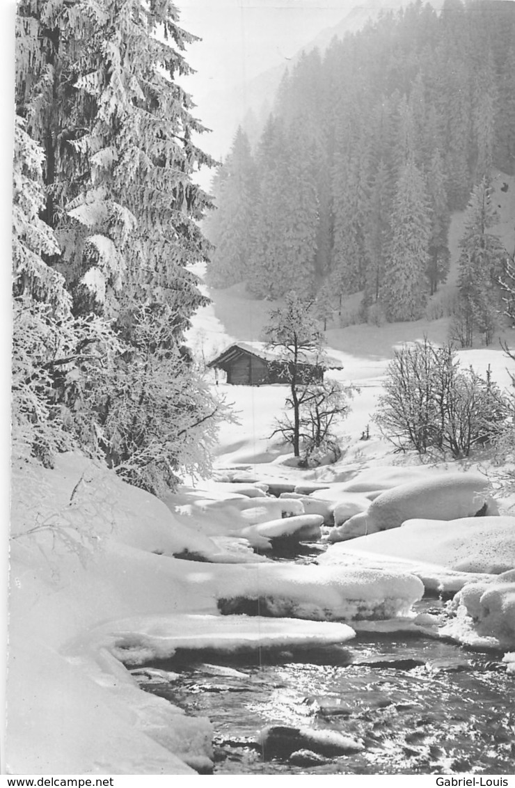 Waldlandschaft Im Rauhfrost - Wald