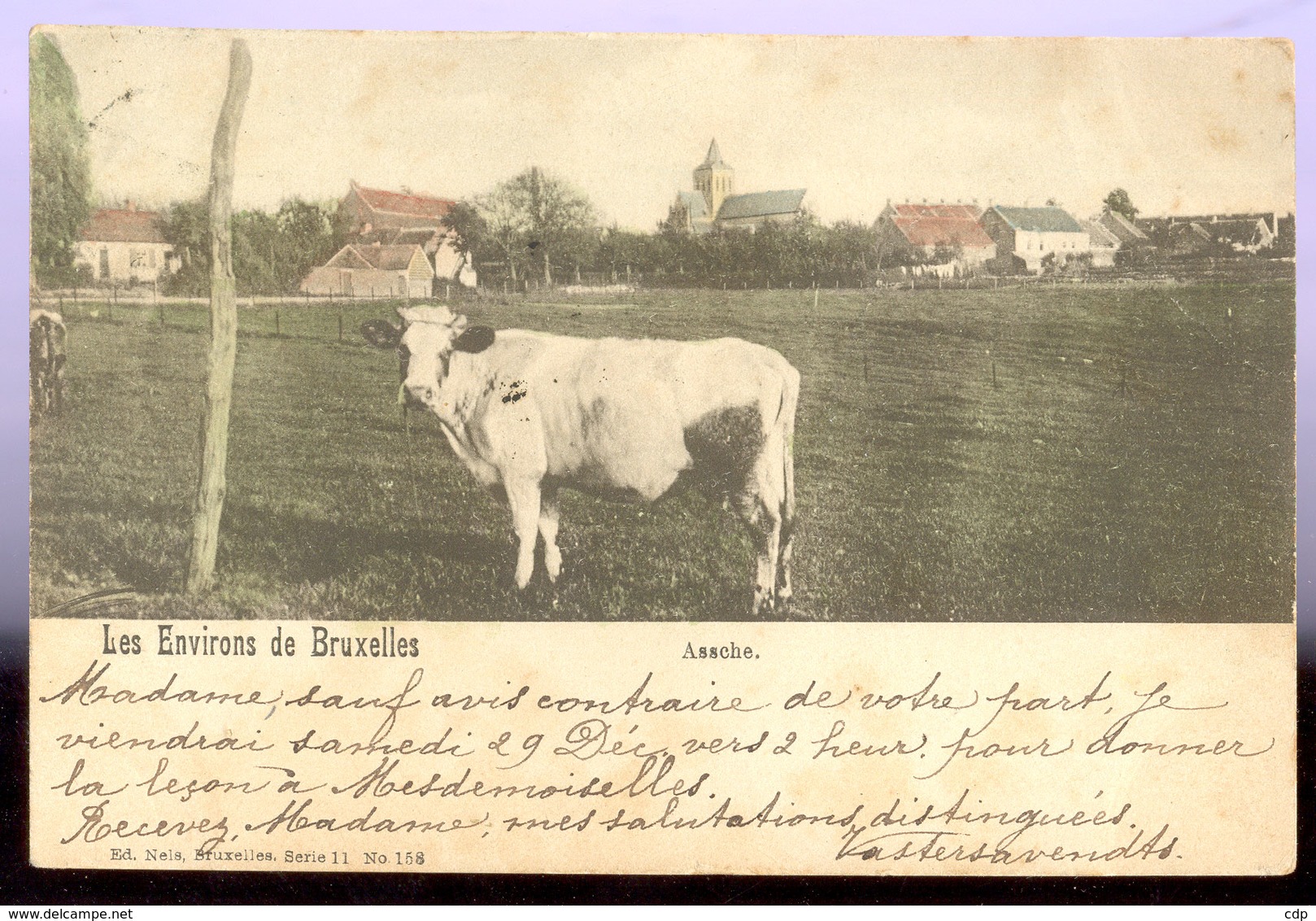 Cpa Assche  1910   Vaches - Asse