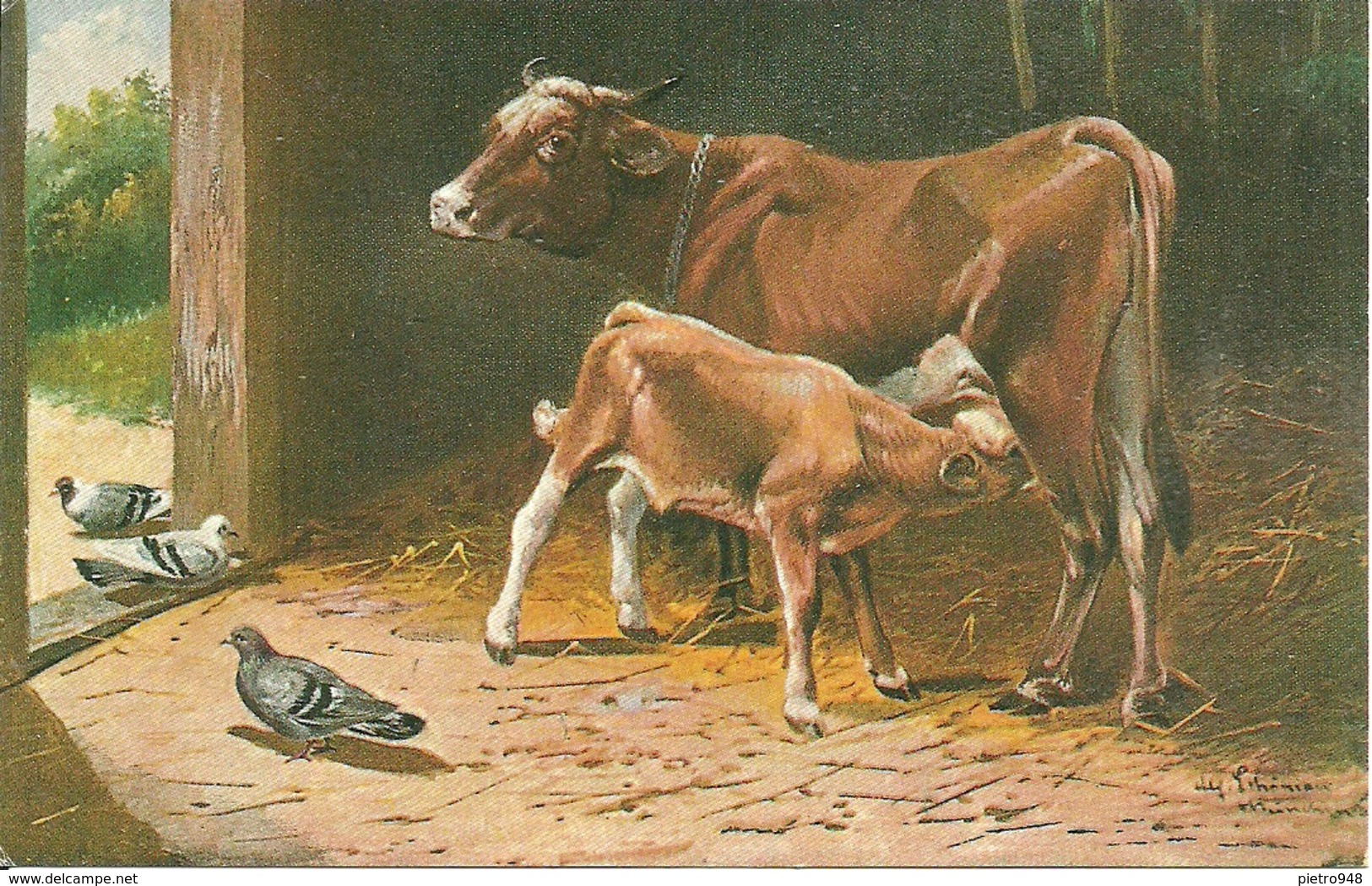 Mucca Con Vitellino E Piccioni, Riproduzione Da Orig., Reproduction, Illustrazione, (E13) - Cows