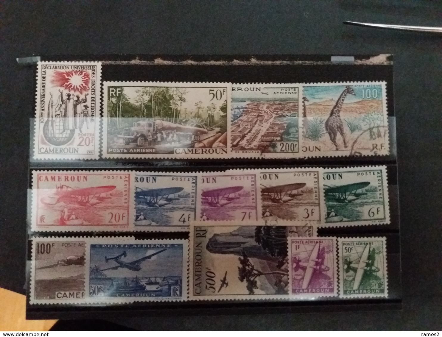 France (ex-colonies & Protectorats) > Cameroun (1915-1959) >  LOT...**/*/O - Neufs