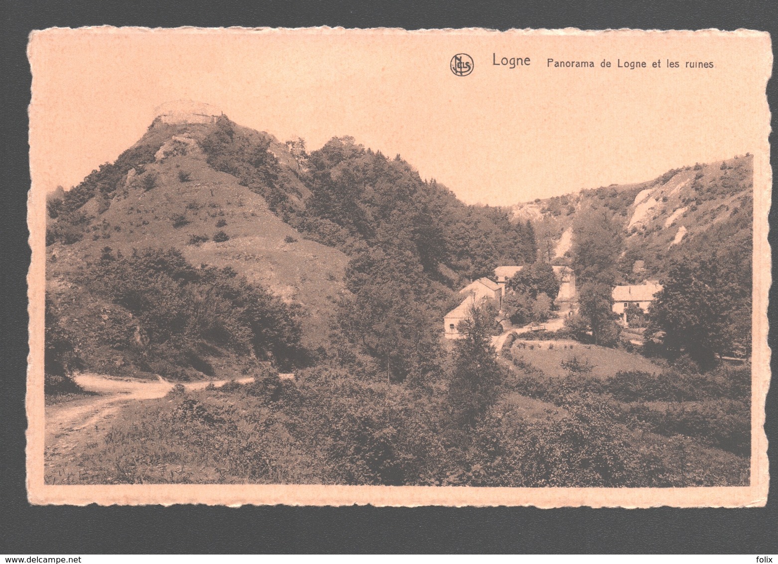 Logne / Vieuxville - Panorama De Logne Et Les Ruines - Ferrieres