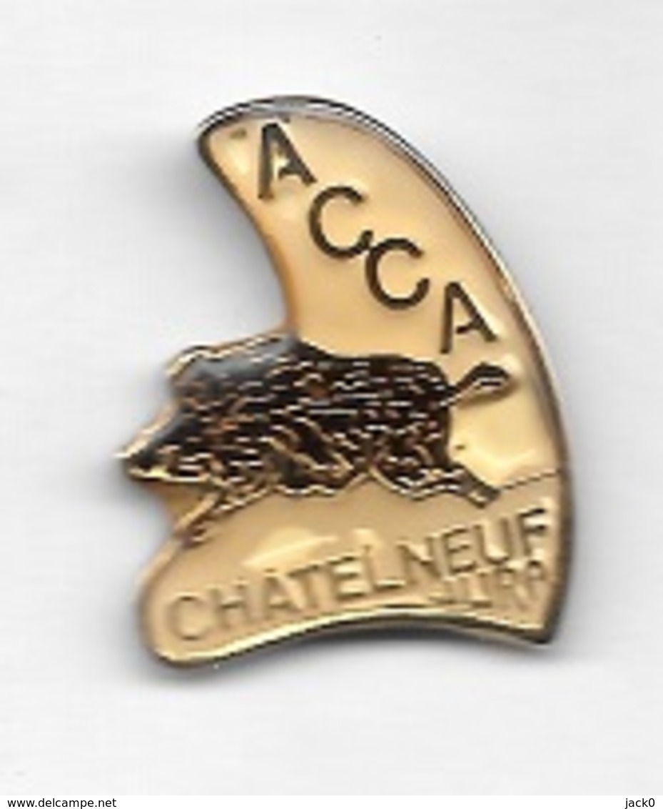 * Pin's  Ville, Département, Chasse  A.C.C.A  CHATELNEUF, JURA  ( 39 ) Avec Un Animal  SANGLIER - Associations