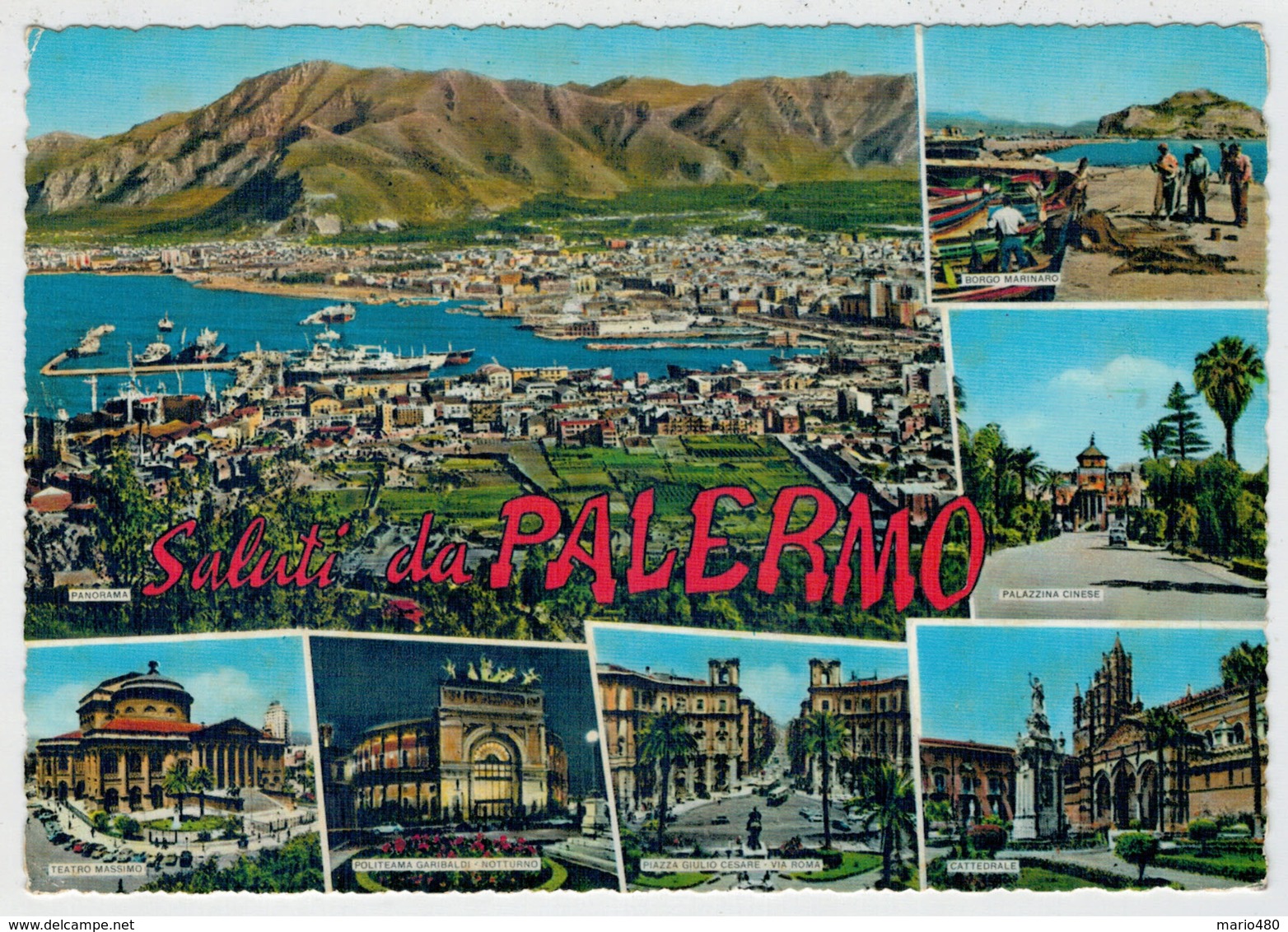 SALUTI  DA  PALERMO      (SCRITTA) - Palermo