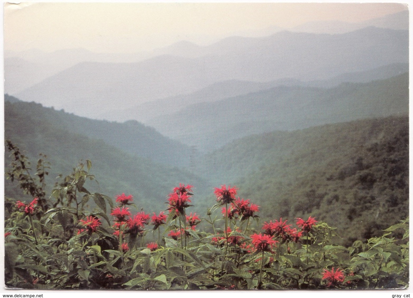 Great Smoky Mountains, Used Postcard [23406] - Smokey Mountains