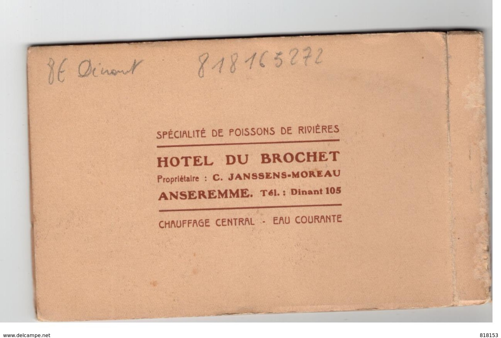 ANSEREMME carnet avec 6 cartes HOTEL DU BROCHET