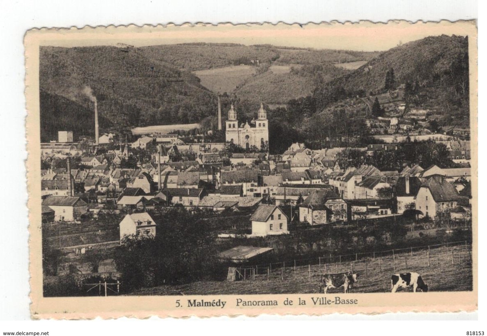 5. Malmédy  Panorama De La Ville-Basse - Malmedy