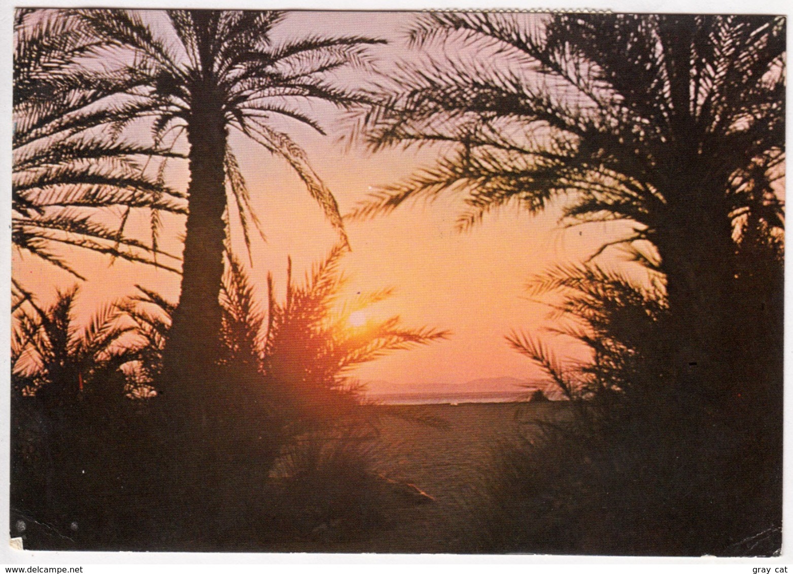 Greece, Crete, 1981 Used Postcard [23416] - Greece