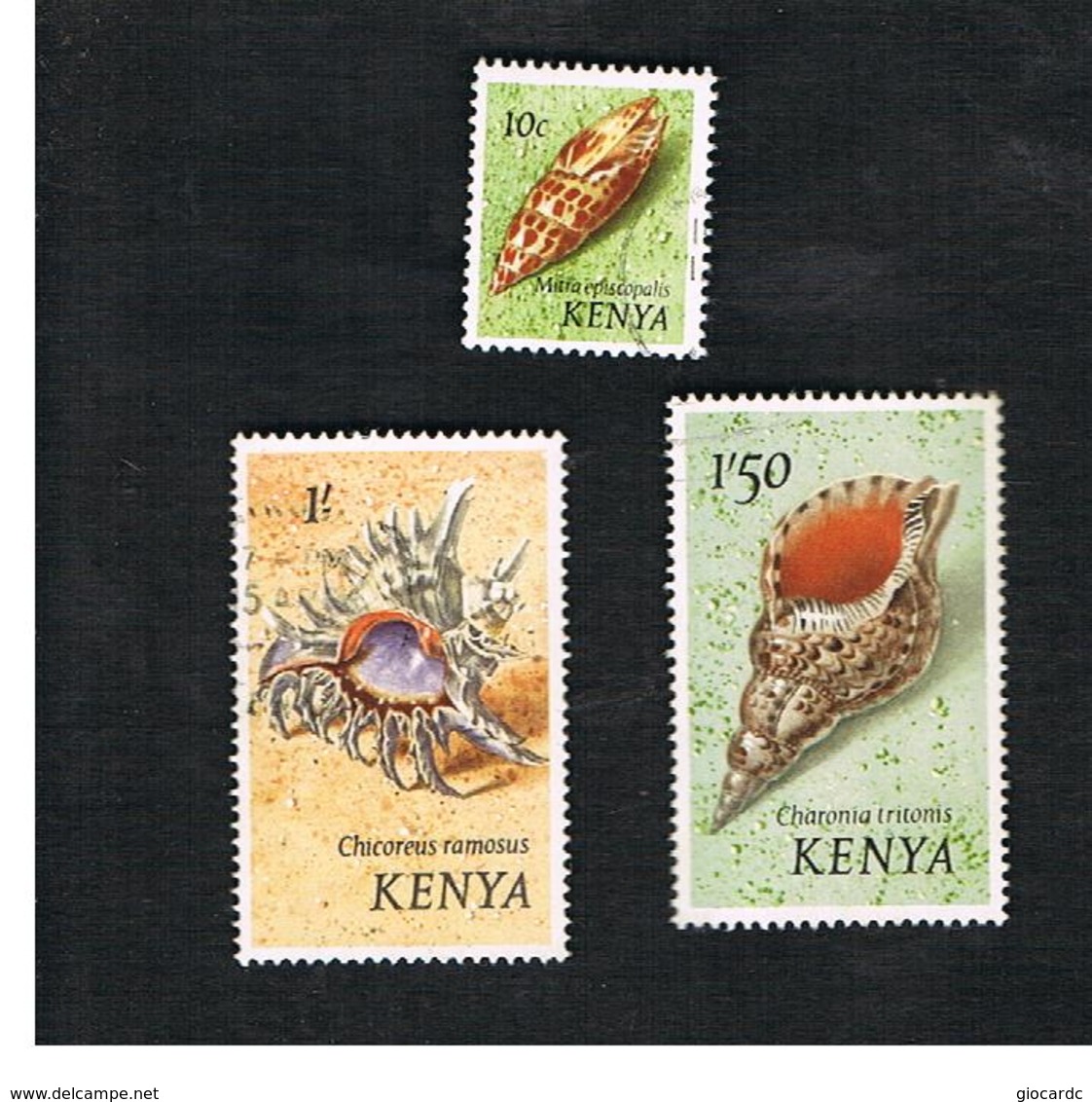 KENYA  - SG 37.48  -  1971  SEA SHELLS:      -  USED° - Kenia (1963-...)