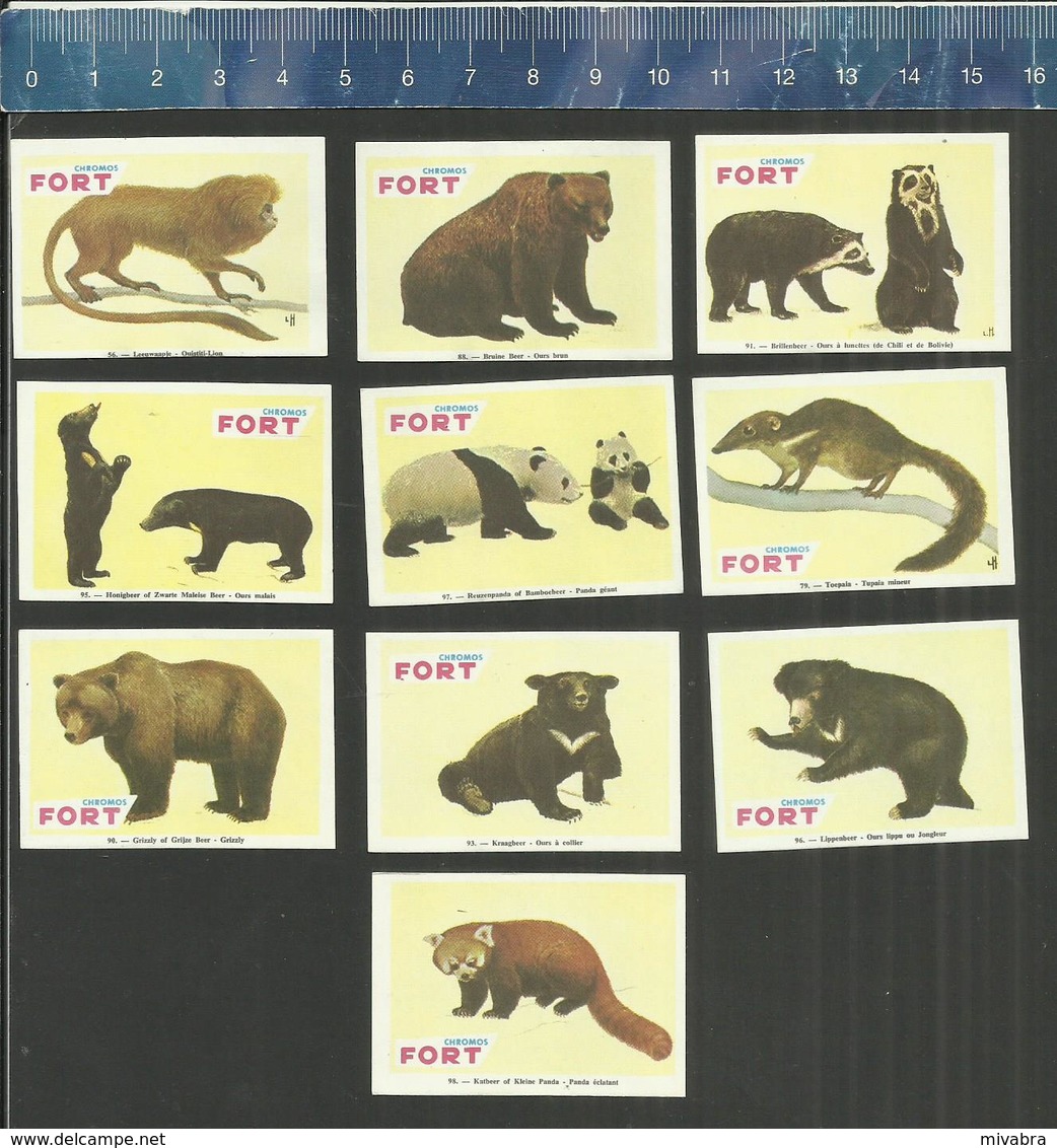 FORT Serie 15 - BEER BEREN OURSE OURSES - BEARS GRIZZLY PANDA  ETC... Matchbox Labels Belgium - Matchbox Labels