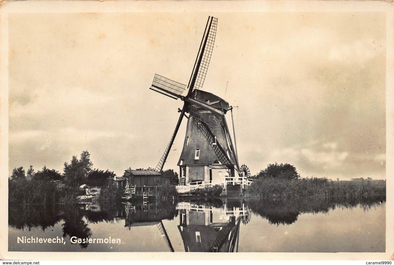 Windmolen Molen Windmill Moulin à Vent   Nichtevecht  Gastermolen   Echte Fotokaart    L 554 - Windmills