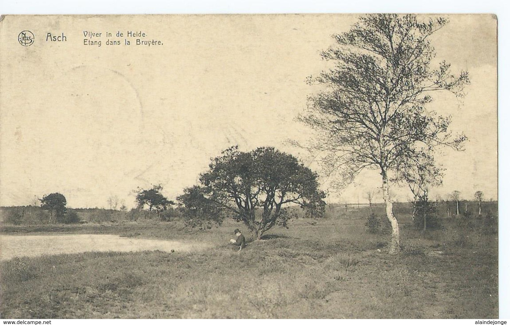 As - Asch - Vijver In De Heide - Etang Dans La Bruyère - Edit. Goossens Et Nysen, Asch - 1921 - Ieper