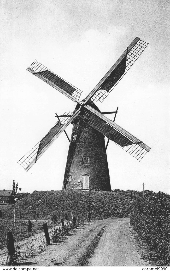 Windmolen Molen Windmill Moulin à Vent   Retie   De Windmolen 1675     L 569 - Windmolens