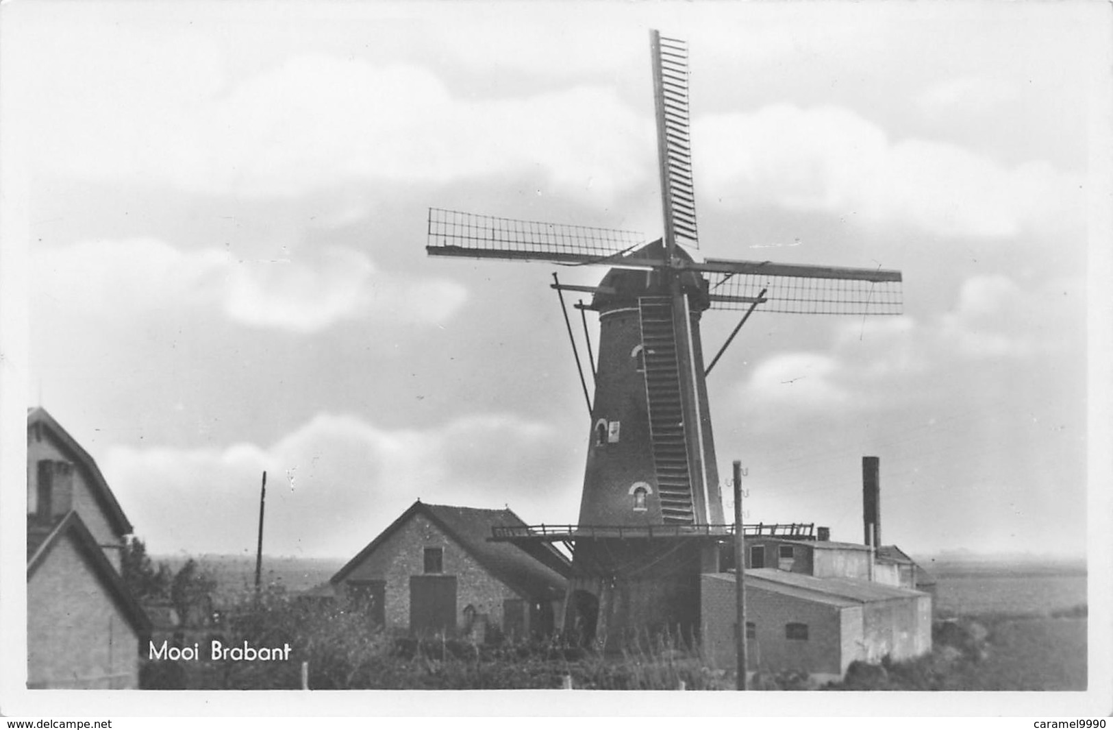 Windmolen Molen Windmill Moulin à Vent   Mooi Brabant    Echte Foto Kaart     L 573 - Windmills