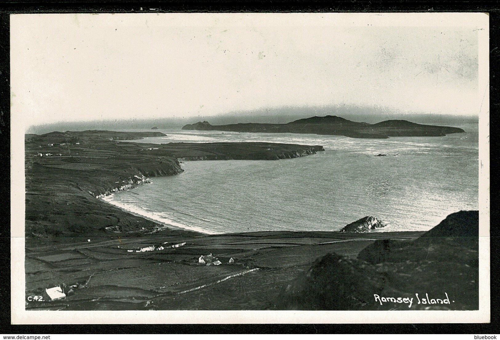 Ref 1320 - 1961 Real Photo Postcard - Ramsey Island Pembrokeshire Wales - Pembrokeshire