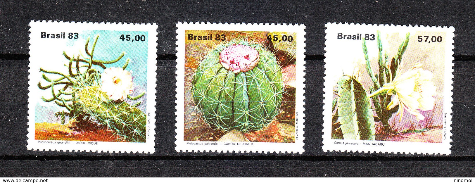 Brasile   - 1983. Cactus Differenti. Complete MNH Series - Cactussen