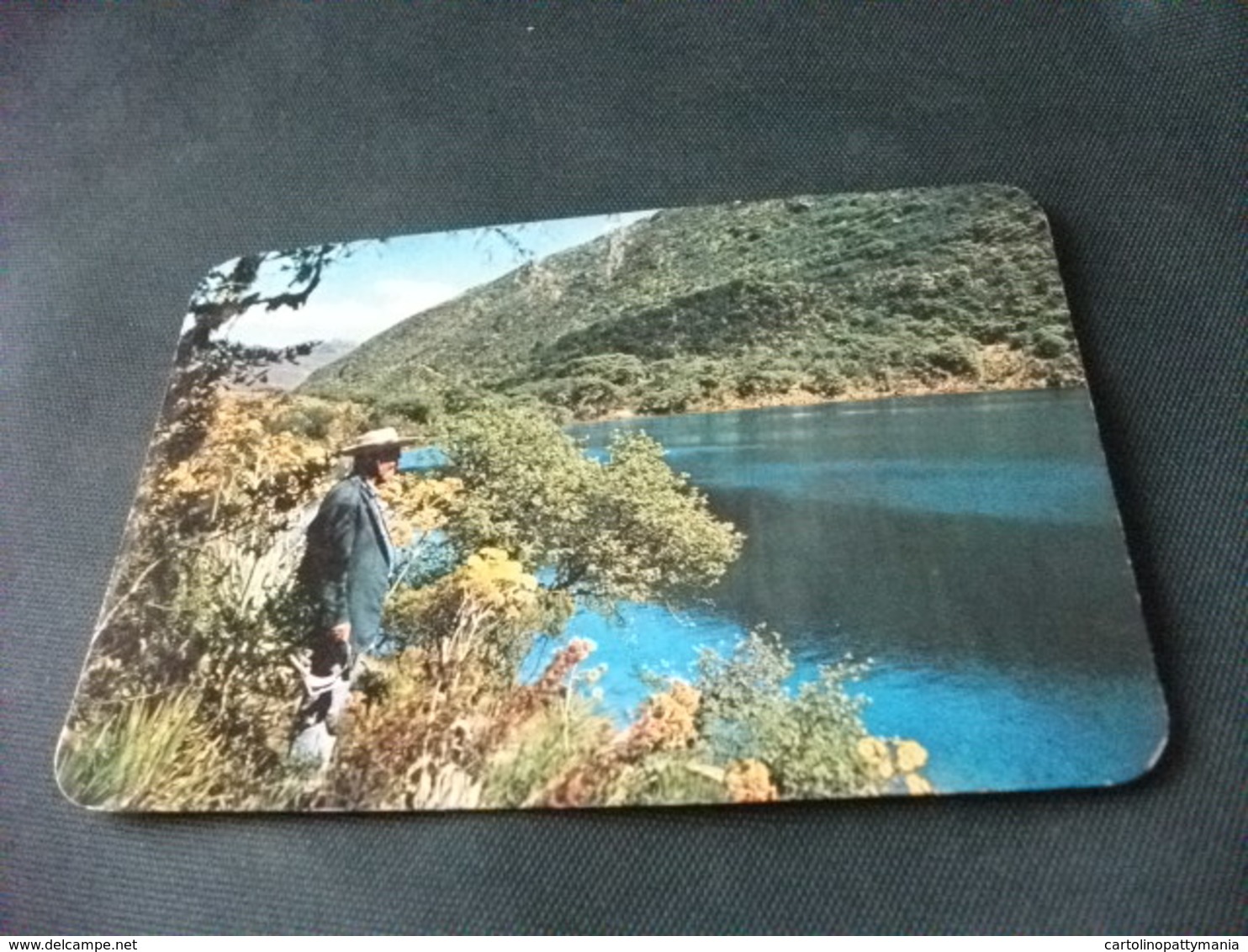 STORIA POSTALE  FRANCOBOLLO VENEZUELA LAGUNA NEGRA LOS ANDES EDO MERIDA - Venezuela