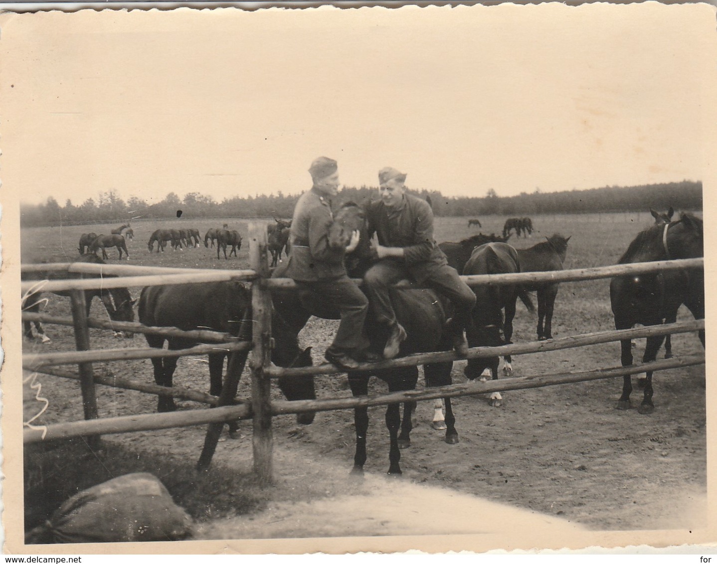 Cavalerie Allemande :  Chevaux Et Soldats - ( Format 11,7cm X 9cm ) - - War, Military