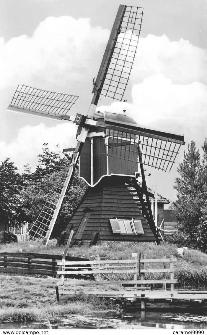 Windmolen Molen Windmill Moulin à Vent  Warmond  Veerpolder    Echte Fotokaart     L 592 - Windmolens