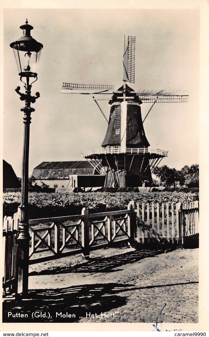 Windmolen Molen Windmill Moulin à Vent  Putten Gelderland Het Hert      Echte Fotokaart     L 594 - Windmolens