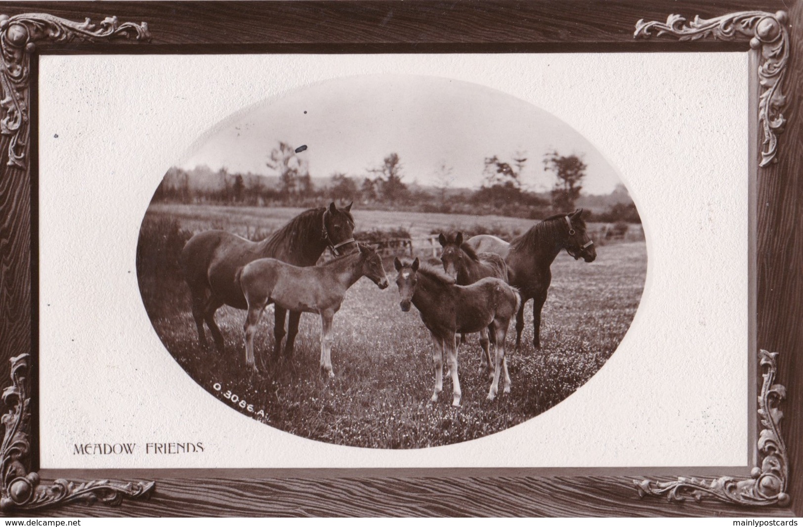 AR59 Animals - Meadow Friends - Horses, Oval Framed RPPC - Horses