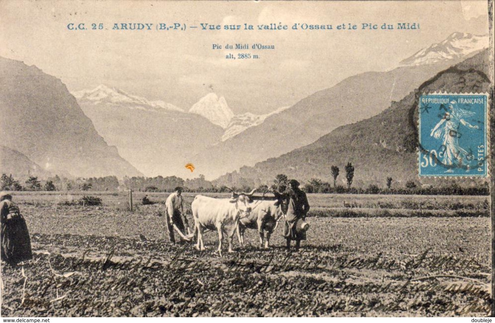 D64  ARUDY  Vue Sur La Vallée D'Ossau Et Le Pic Du Midi  .......Attelage Au Labour - Charrue Ancienne - Arudy