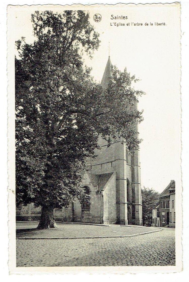 Sint-Renelde - Saintes - Tubeke - Eglise Et L'arbre De La Liberté - Edit. Maison Vandevelde - Tubeke