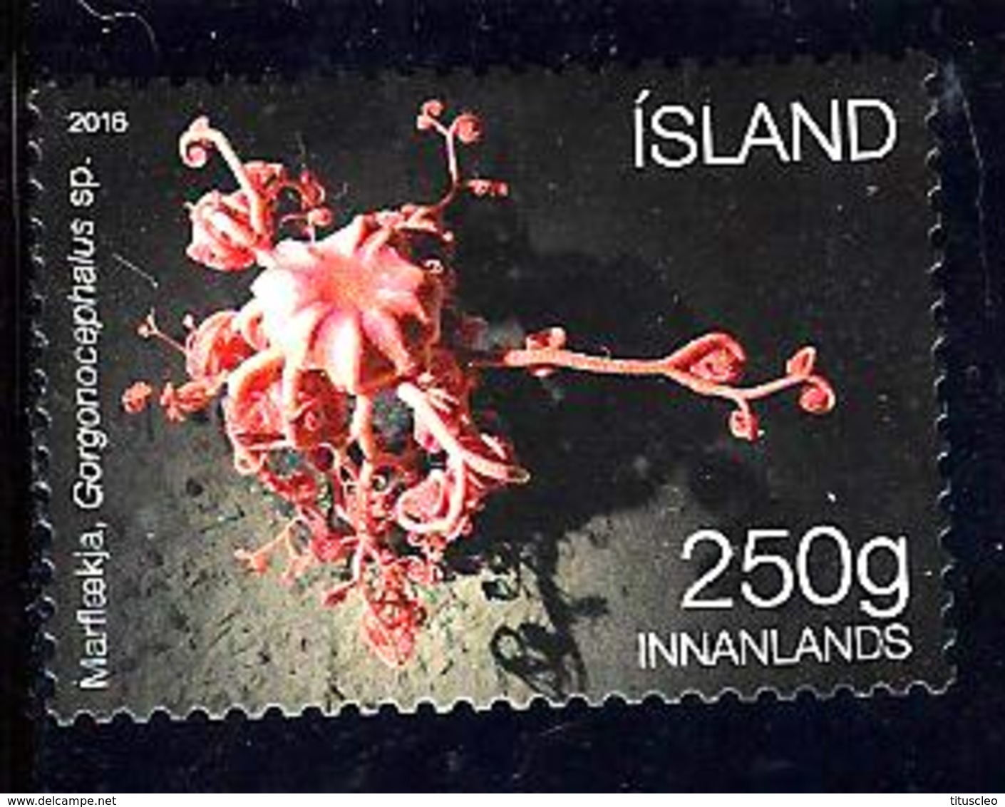 ISLANDE 1431° 250g Etoile Panier (10% De La Cote + 0,15) - Usati