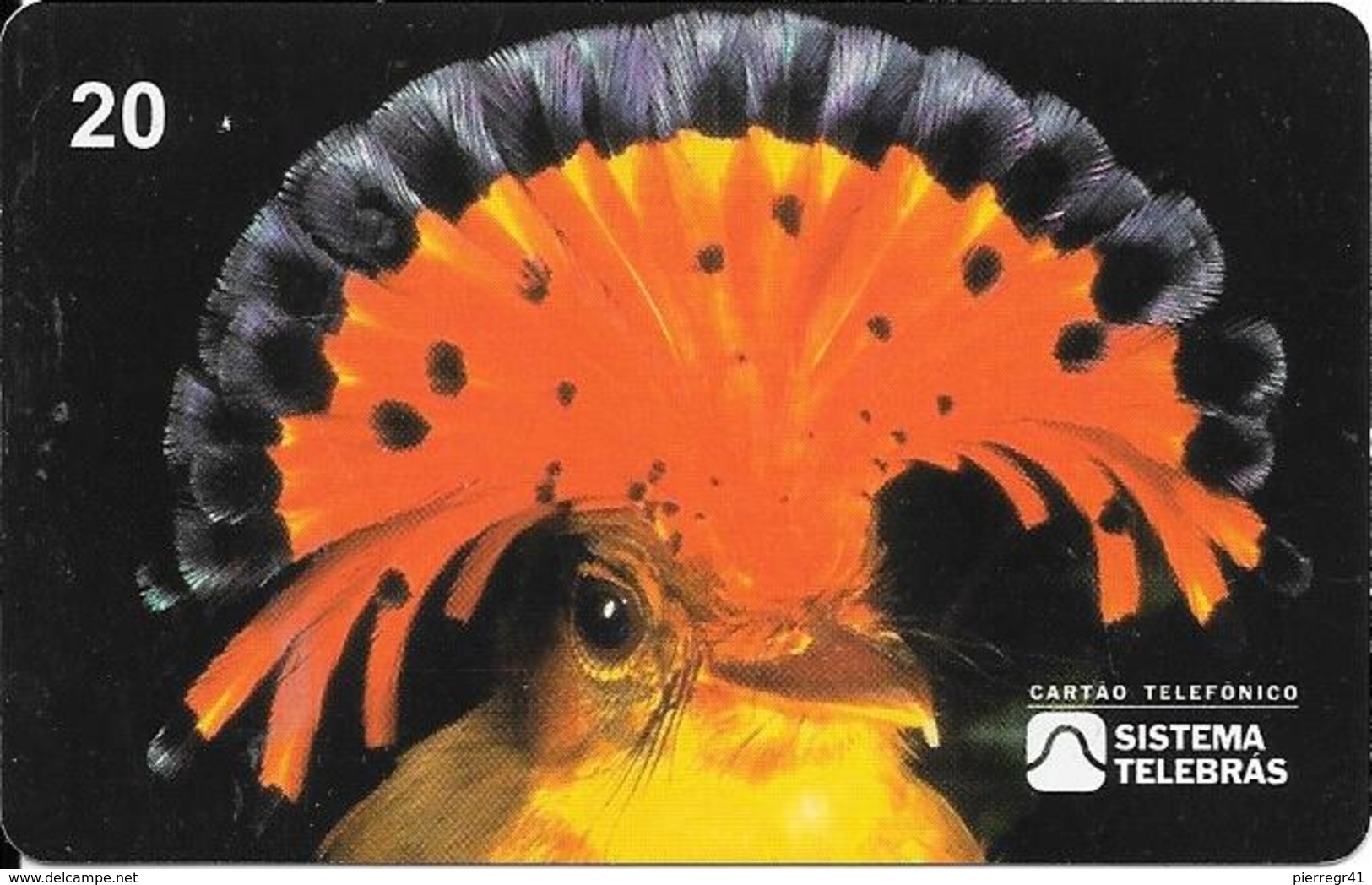 CARTE-MAGNETIQUE-BRESIL-07/98-OISEAU MOUCHEAVES DO BRASIL/MOUCHEROLLE ROYALE-TBE-TBE - Sperlingsvögel & Singvögel