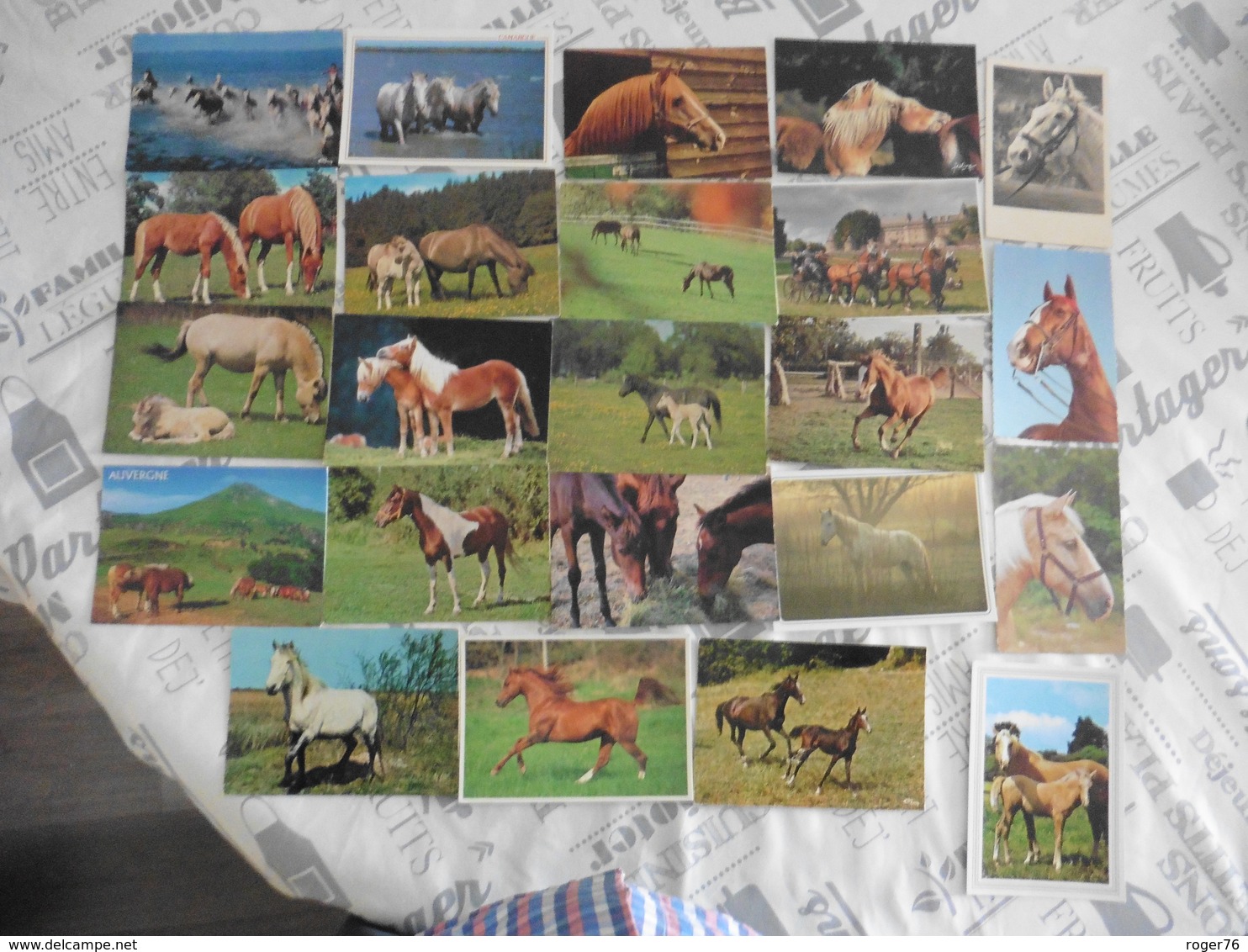 LOT  DE 90 CARTES POSTALES DE CHEVAUX - Chevaux