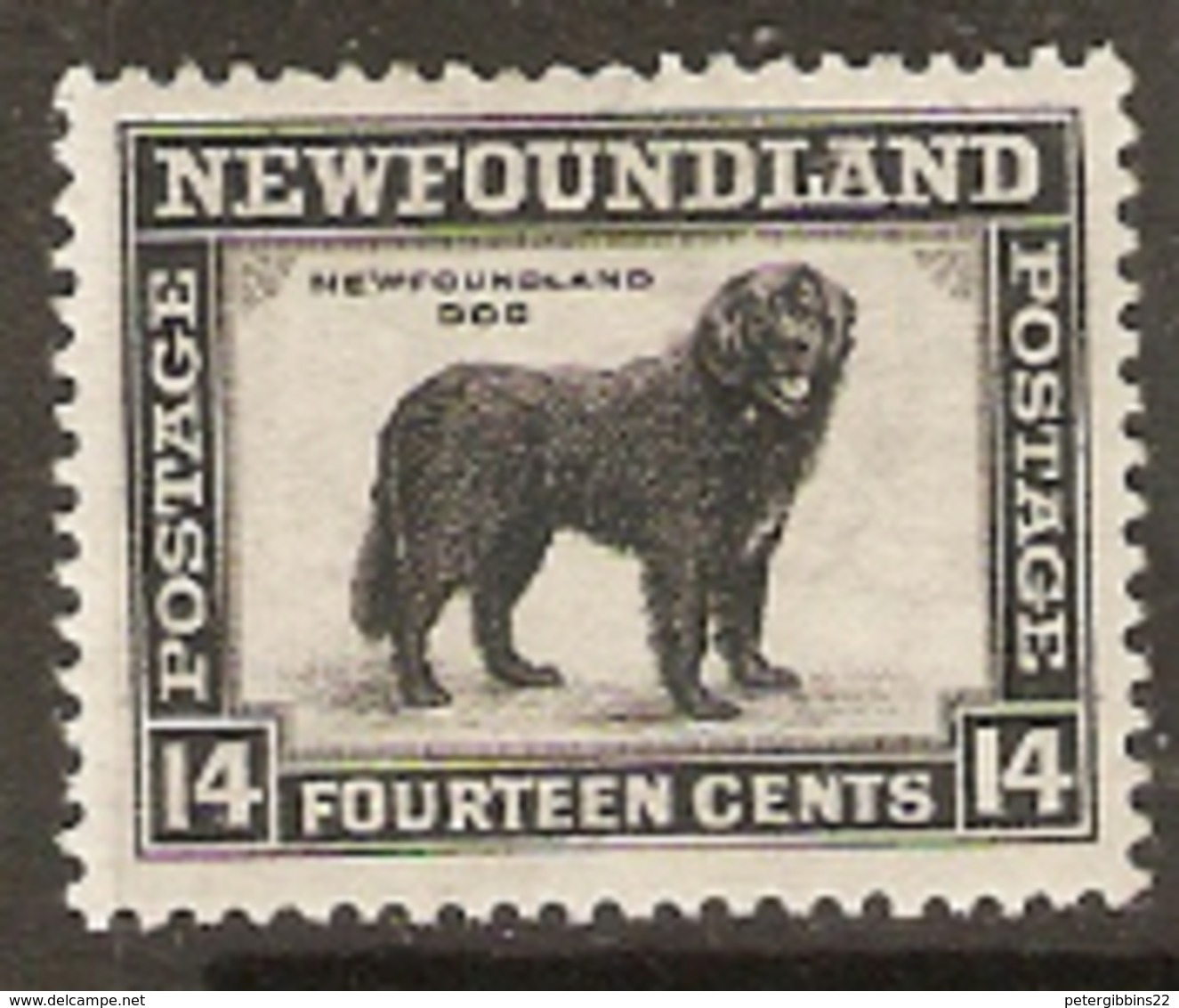 Newfoundland  1932  SG 216  Newfoundland Dog  Mounted  Mint - 1908-1947