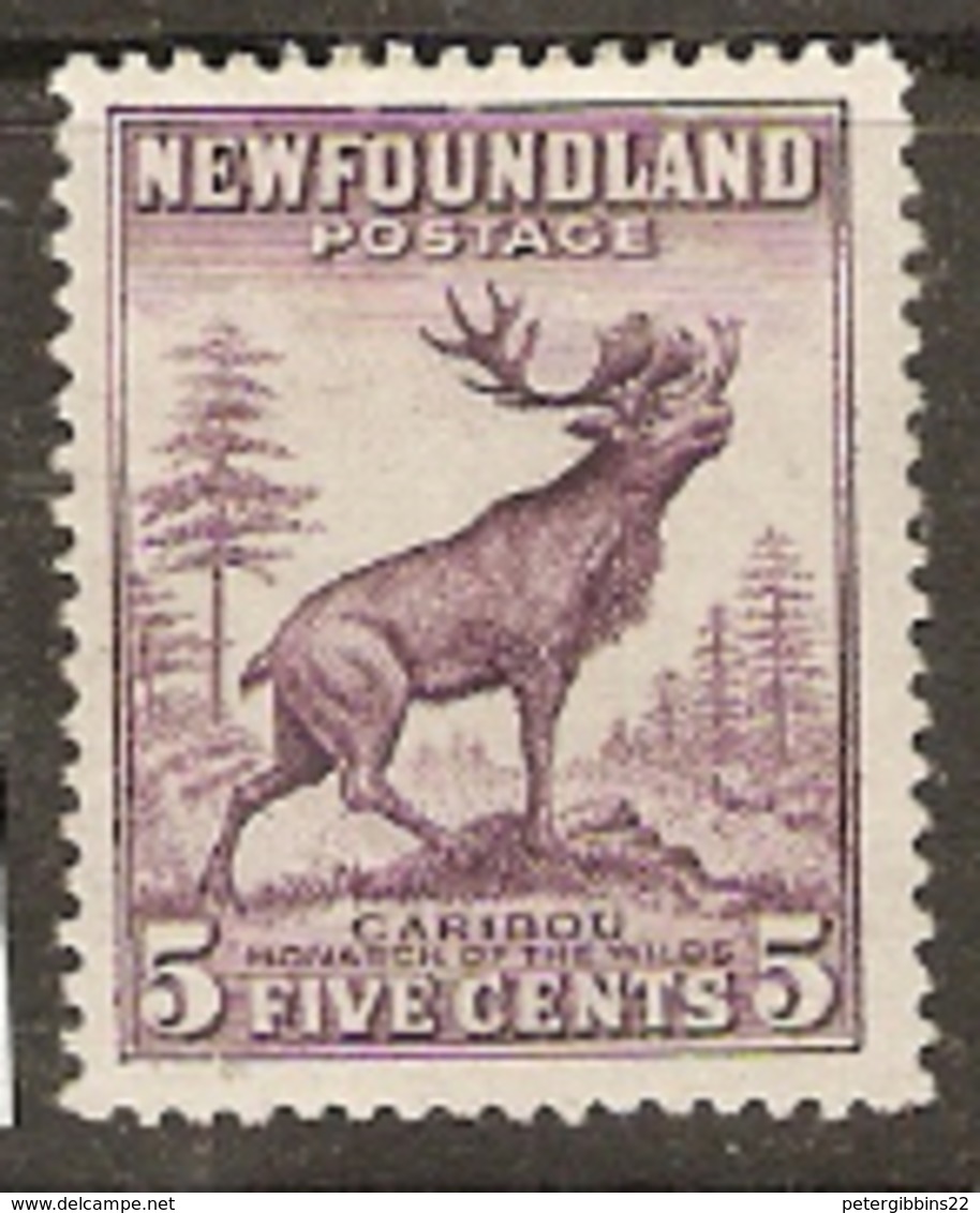 Newfoundland  1932  SG 225  Caribou  Die  11    Mounted  Mint - 1908-1947