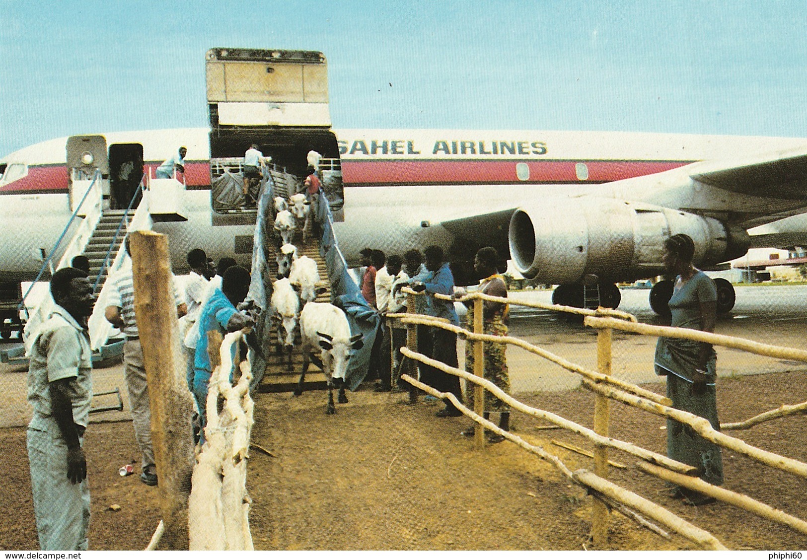 GABON -  Importation De Bétail Pour Les Ranchs D'Elévage AGROGABON - Autres & Non Classés