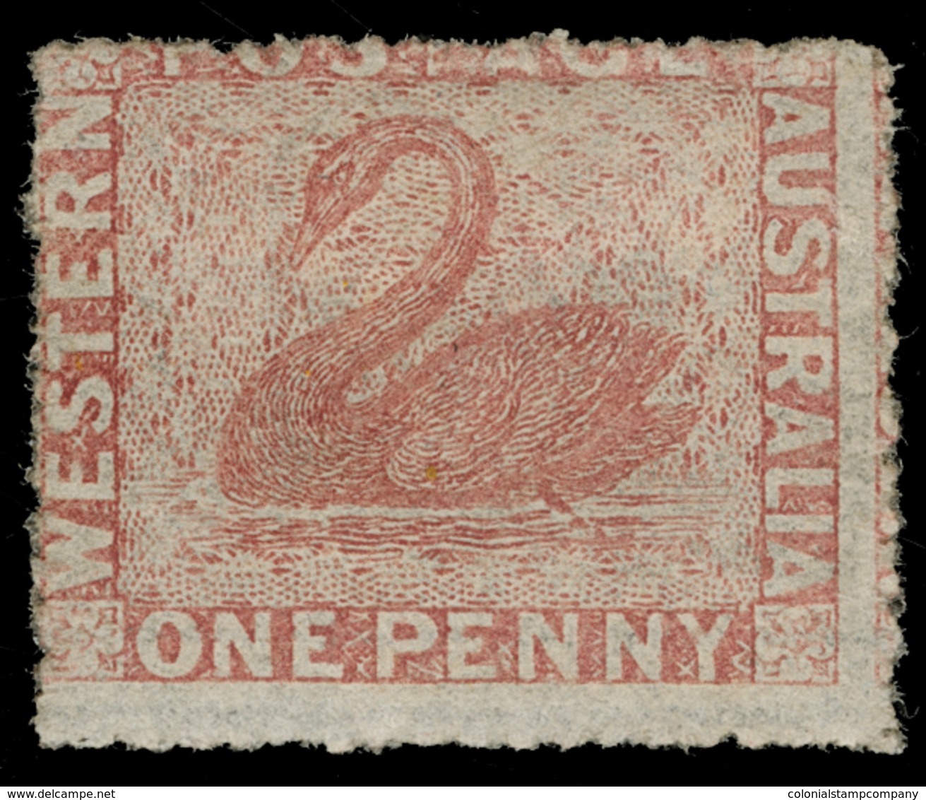 * Australia / Western Australia - Lot No.146 - Ongebruikt