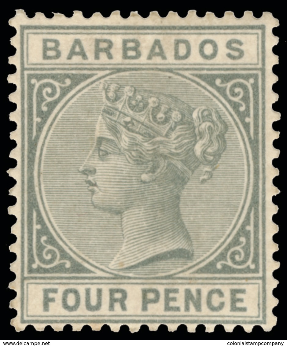 * Barbados - Lot No.240 - Barbades (...-1966)
