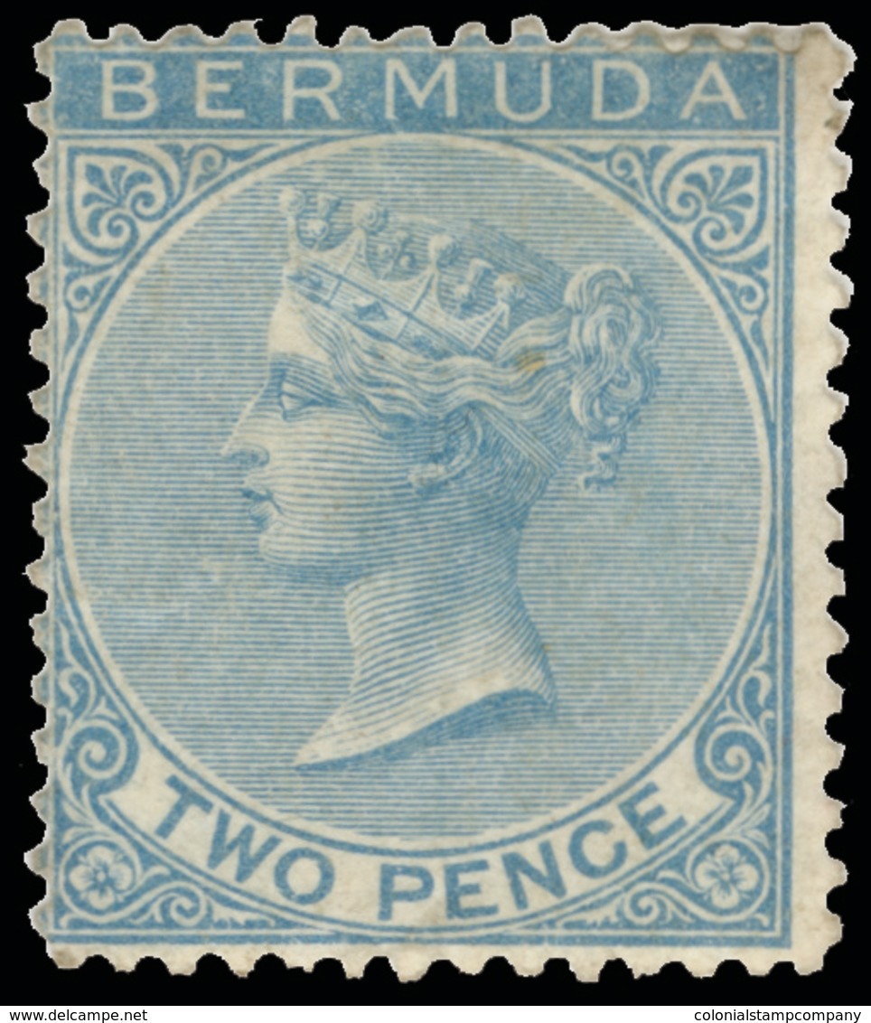 * Bermuda - Lot No.290 - Bermudas